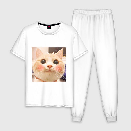 Мужская пижама Мем про котов / Белый – фото 1