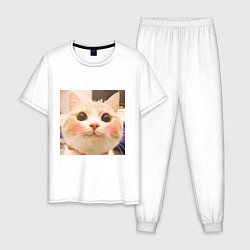 Пижама хлопковая мужская Мем про котов, цвет: белый