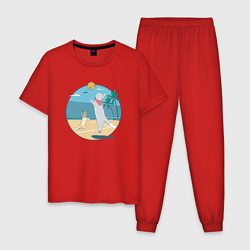 Мужская пижама Cat Volleyball / Красный – фото 1