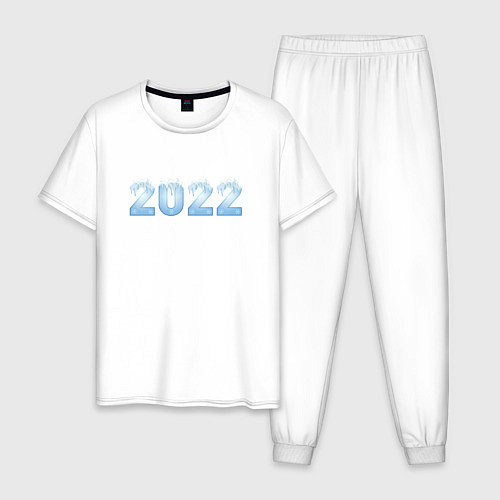 Мужская пижама 2022 Год Снежная Голубая Надпись / Белый – фото 1
