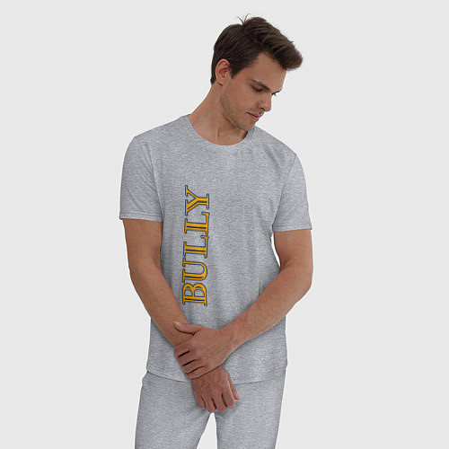 Мужская пижама Bully Лого по вертикали / Меланж – фото 3