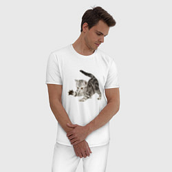 Пижама хлопковая мужская Шустрый прикольный котёнок, цвет: белый — фото 2