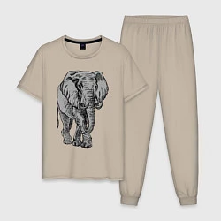 Пижама хлопковая мужская Огромный могучий слон, цвет: миндальный