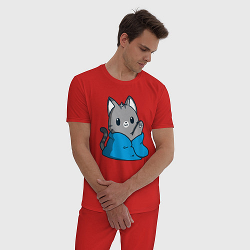 Мужская пижама Кот в одеяле / Красный – фото 3