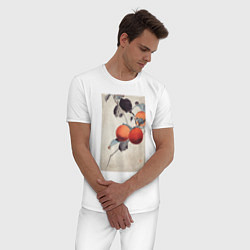 Пижама хлопковая мужская Nuthatcher atop Persimmons, цвет: белый — фото 2
