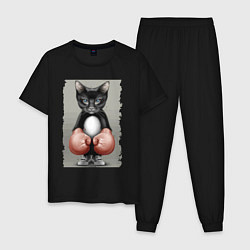 Пижама хлопковая мужская Крутой котяра в боксёрских перчатках Cool cat in b цвета черный — фото 1