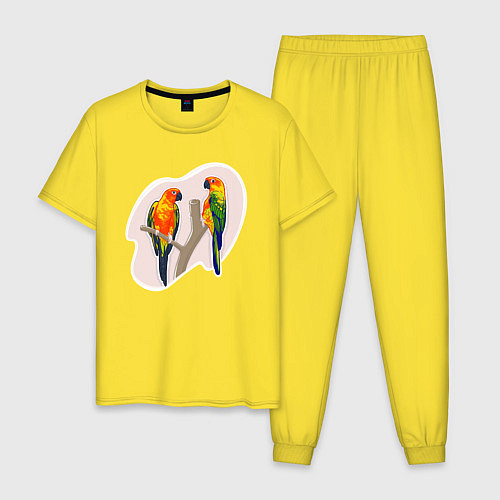 Мужская пижама Попугай Аратинга Птицы / Желтый – фото 1