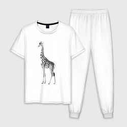 Пижама хлопковая мужская Грация жирафа, цвет: белый