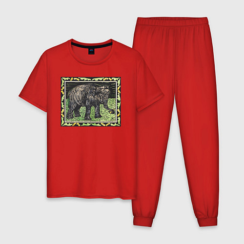 Мужская пижама Olifant Met Fles Слон / Красный – фото 1