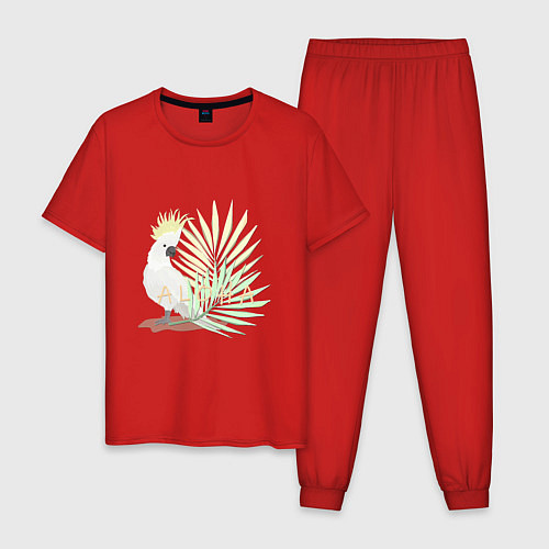 Мужская пижама Белый попугай с хохолком на фоне листьев пальмы / Красный – фото 1