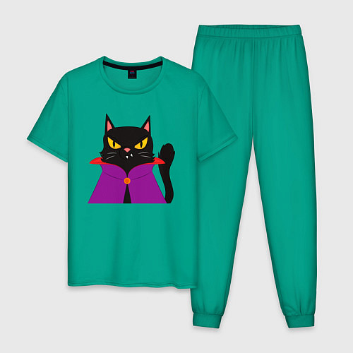 Мужская пижама Чёрный котик-волшебник / Зеленый – фото 1