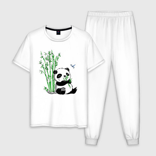 Мужская пижама Панда бамбук и стрекоза / Белый – фото 1