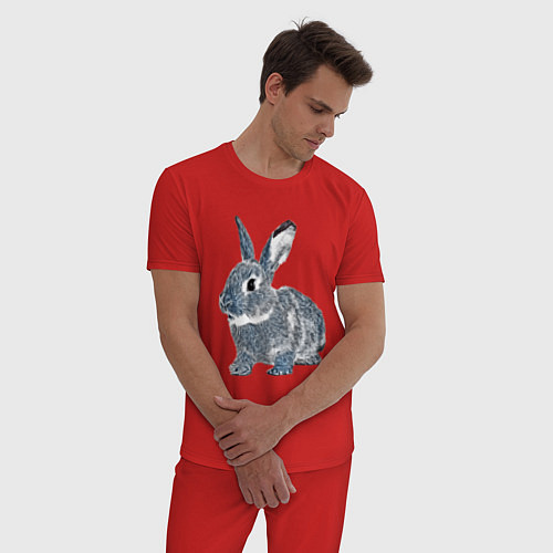 Мужская пижама 2023 год - год голубого кролика / Красный – фото 3