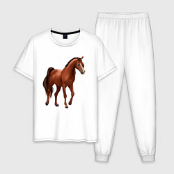 Пижама хлопковая мужская Тракененская лошадь, цвет: белый