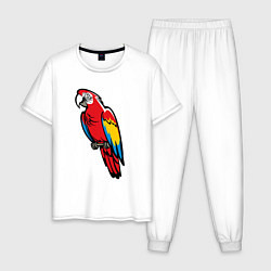 Пижама хлопковая мужская Попугай Ара на жердочке, цвет: белый
