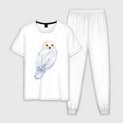Пижама хлопковая мужская Белая полярная сова, цвет: белый