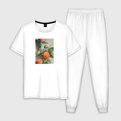 Пижама хлопковая мужская Абрикос арт, цвет: белый