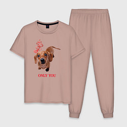 Пижама хлопковая мужская Преданный пёсик, цвет: пыльно-розовый