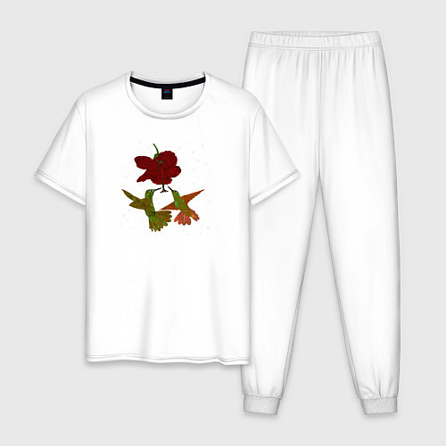 Мужская пижама Два порхающих колибри у цветка / Белый – фото 1