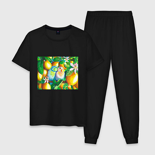 Мужская пижама Попугаи в лимонах / Черный – фото 1