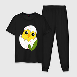 Пижама хлопковая мужская Птенчик вылупляется, цвет: черный