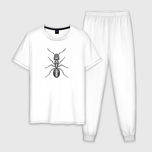 Мужская пижама Муравей гравюра / Белый – фото 1