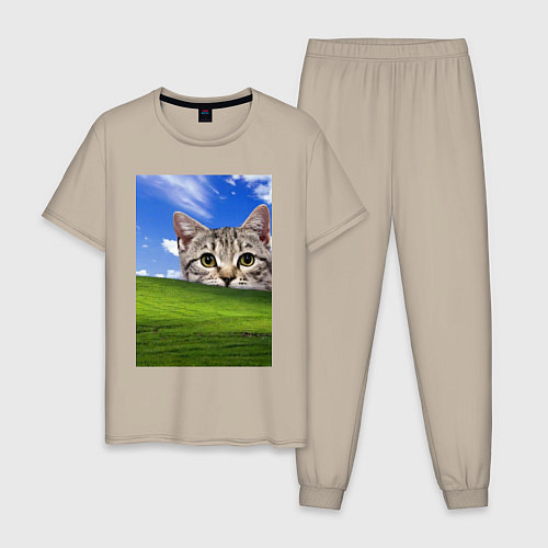 Мужская пижама Кот и безмятежность в Windows XP / Миндальный – фото 1