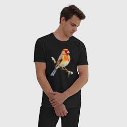 Пижама хлопковая мужская Оранжевая птица на ветке, цвет: черный — фото 2