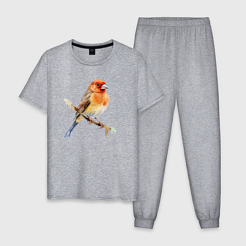 Мужская пижама Оранжевая птица на ветке / Меланж – фото 1