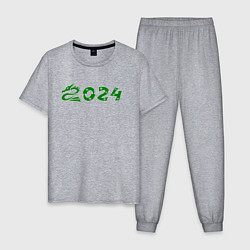 Пижама хлопковая мужская Зеленый дракон 2024 деревянный, цвет: меланж