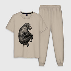 Пижама хлопковая мужская Шимпанзе на дереве, цвет: миндальный