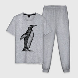 Пижама хлопковая мужская Пингвин сбоку, цвет: меланж