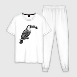 Пижама хлопковая мужская Тукан на жердочке, цвет: белый