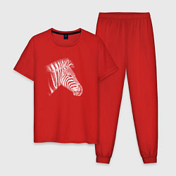 Пижама хлопковая мужская Гравюра голова зебры в профиль, цвет: красный