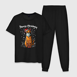 Пижама хлопковая мужская Рождественский котик, цвет: черный