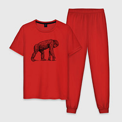 Пижама хлопковая мужская Шимпанзе гуляет, цвет: красный
