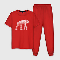 Пижама хлопковая мужская Белая шимпанзе, цвет: красный