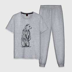Пижама хлопковая мужская Медведь стоящий, цвет: меланж