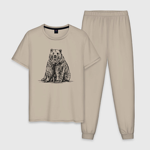Мужская пижама Медведь сидящий / Миндальный – фото 1