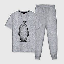 Пижама хлопковая мужская Пингвин стоит, цвет: меланж