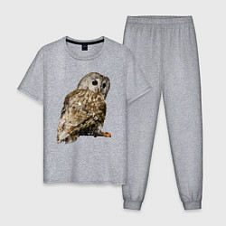 Пижама хлопковая мужская Серая сова, цвет: меланж