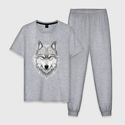 Пижама хлопковая мужская Волк с оберегом, цвет: меланж
