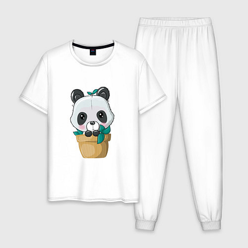 Мужская пижама Милая панда в цветочном горшке / Белый – фото 1