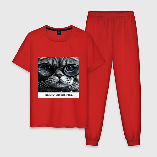 Мужская пижама Мем кот в очках: шерсть это приправа / Красный – фото 1