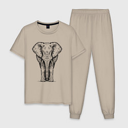Пижама хлопковая мужская Слон анфас, цвет: миндальный