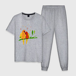 Пижама хлопковая мужская Пара влюбленных попугаев на ветке, цвет: меланж