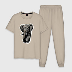 Пижама хлопковая мужская Большой африканский слон, цвет: миндальный