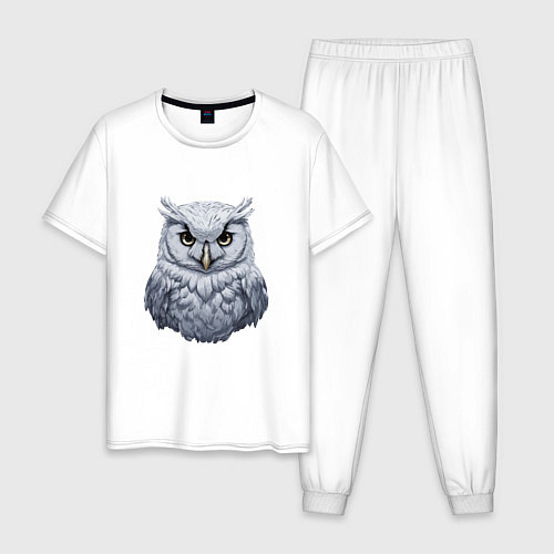 Мужская пижама Полярная сова / Белый – фото 1