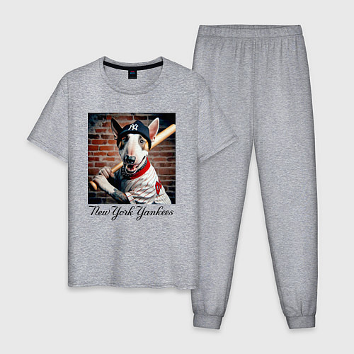 Мужская пижама Bull terrier - New York yankees baseball team / Меланж – фото 1