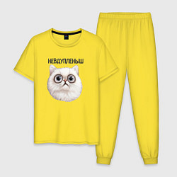 Мужская пижама Кот невдупленыш